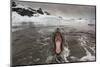 Leopard Seal-Paul Souders-Mounted Photographic Print