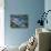 Leopard Seal-null-Mounted Photographic Print displayed on a wall