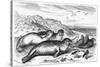 Leopard Seal-Robert Kretschner-Stretched Canvas
