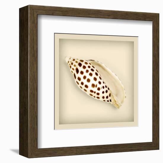 Leopard Shell-null-Framed Art Print