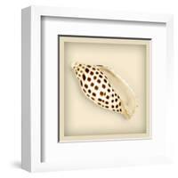 Leopard Shell-null-Framed Art Print