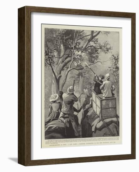 Leopard-Shooting in India, a Lady Makes a Handsome Contribution to Our Very Successful Day's Bag-null-Framed Giclee Print