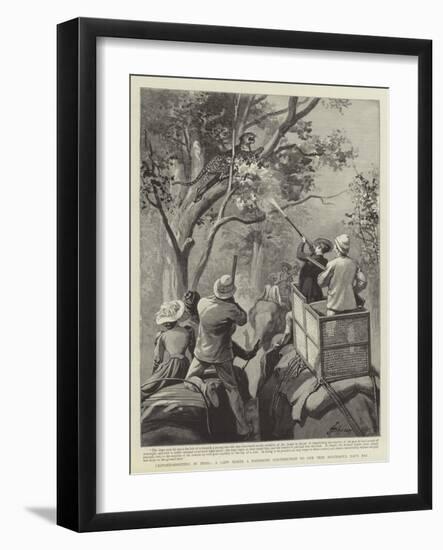 Leopard-Shooting in India, a Lady Makes a Handsome Contribution to Our Very Successful Day's Bag-null-Framed Giclee Print
