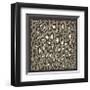 Leopard Skin-Susan Clickner-Framed Giclee Print