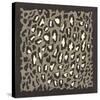 Leopard Skin-Susan Clickner-Stretched Canvas