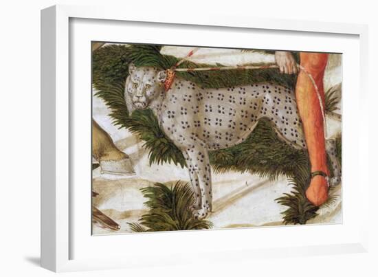 Leopard Straining on a Leash, Detail from the Journey of the Magi Cycle in the Chapel, C.1460-Benozzo di Lese di Sandro Gozzoli-Framed Giclee Print