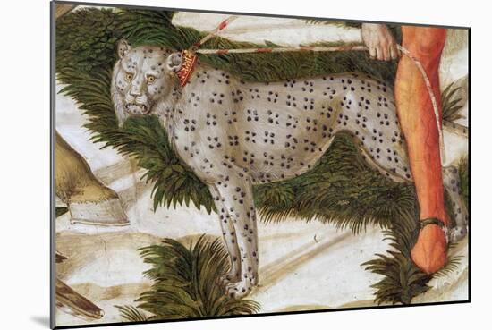 Leopard Straining on a Leash, Detail from the Journey of the Magi Cycle in the Chapel, C.1460-Benozzo di Lese di Sandro Gozzoli-Mounted Giclee Print