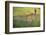 Leopard walking through grass,  Masai Mara National Reserve-George Sanker-Framed Photographic Print