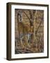 Leopard Walking-Peter Blackwell-Framed Art Print