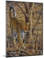 Leopard Walking-Peter Blackwell-Mounted Art Print