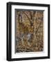 Leopard Walking-Peter Blackwell-Framed Art Print