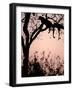 Leopard with Impala Carcass in Tree, Okavango Delta, Botswana-Pete Oxford-Framed Photographic Print