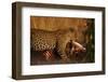 Leopard with Impala Kill-null-Framed Photographic Print