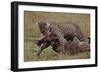 Leopard with Wildebeest Kill-null-Framed Photographic Print