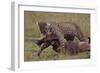 Leopard with Wildebeest Kill-null-Framed Photographic Print