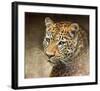 Leopard-Chris Vest-Framed Art Print