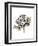 Leopard-Philippe Debongnie-Framed Art Print