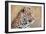 Leopard-Howard Ruby-Framed Premium Photographic Print