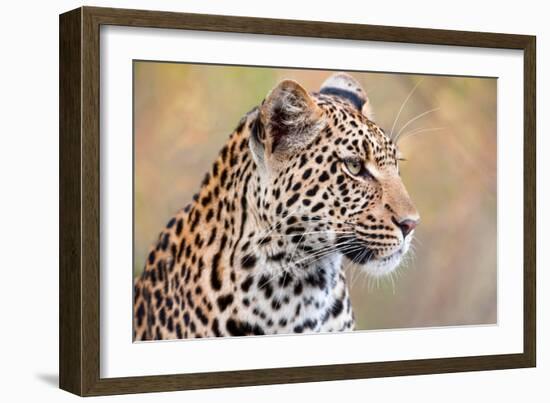 Leopard-Howard Ruby-Framed Photographic Print