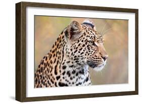 Leopard-Howard Ruby-Framed Photographic Print