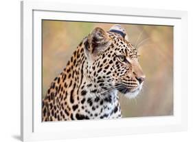 Leopard-Howard Ruby-Framed Photographic Print