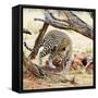 Leopard-Andrushko Galyna-Framed Stretched Canvas