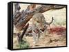 Leopard-Andrushko Galyna-Framed Stretched Canvas