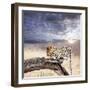 Leopard-Andrushko Galyna-Framed Photographic Print