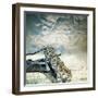 Leopard-Andrushko Galyna-Framed Photographic Print