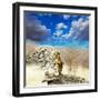 Leopard-Andrushko Galyna-Framed Photographic Print