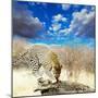 Leopard-Andrushko Galyna-Mounted Photographic Print