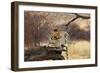 Leopard-Andrushko Galyna-Framed Photographic Print