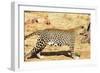 Leopard-Andrushko Galyna-Framed Photographic Print