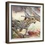 Leopard-Andrushko Galyna-Framed Photographic Print