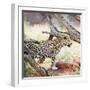 Leopard-Andrushko Galyna-Framed Photographic Print