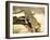 Leopard-Andrushko Galyna-Framed Photographic Print