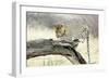 Leopard-Andrushko Galyna-Framed Photographic Print