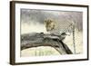 Leopard-Andrushko Galyna-Framed Photographic Print