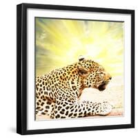 Leopard-Andrushko Galyna-Framed Photographic Print