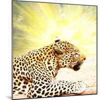 Leopard-Andrushko Galyna-Mounted Photographic Print