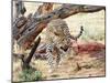 Leopard-Andrushko Galyna-Mounted Photographic Print