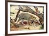 Leopard-Andrushko Galyna-Framed Photographic Print