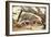 Leopard-Andrushko Galyna-Framed Photographic Print