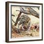 Leopard-Andrushko Galyna-Framed Photographic Print