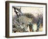 Leopard-Andrushko Galyna-Framed Photographic Print