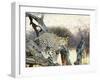 Leopard-Andrushko Galyna-Framed Photographic Print