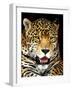 Leopard-Dennis Goodman-Framed Photographic Print