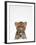 Leopard-Tai Prints-Framed Photographic Print