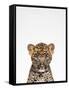 Leopard-Tai Prints-Framed Stretched Canvas