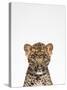 Leopard-Tai Prints-Stretched Canvas